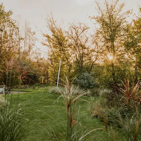 Vakantiehuis Dutchen Buiten Bergen Schoorl